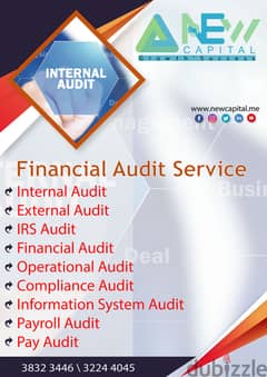 Audit & TAX Consulting