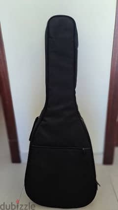 Guitar, Guitar bag and picks for SALE!!!