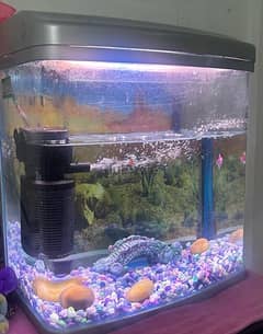 Fish tank with Motor & light & Stones set for sale