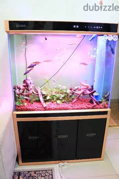 Fish Tank aquarium 2024 New Model