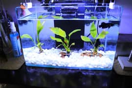 HD glass Fish tank small aquarium