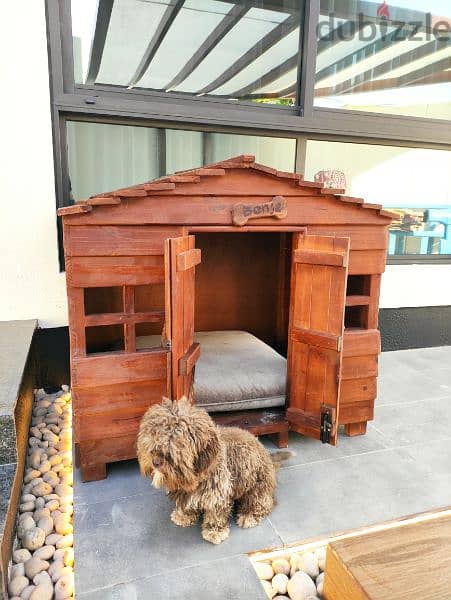 Puppy House 1