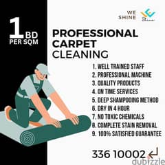 SHINE Is My Favorite Color. Best Offers On All Cleaning Services