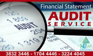 Financial Statement Audit Service