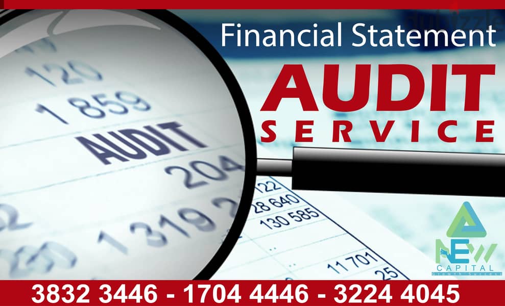 Financial Statement Audit Service 0