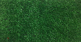Grass Carpet