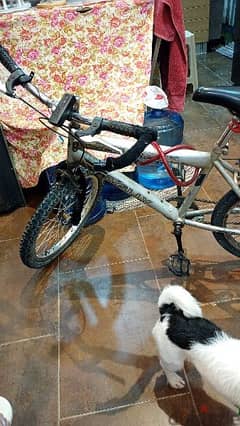 Rally Bike in excellent condition