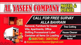 House Shefting mover and packer
