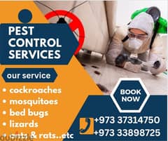 pest control service only 9 BD WhatsApp 33898725