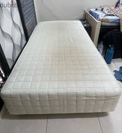 Single bed and sofa free