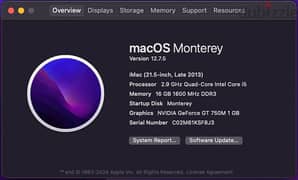 iMac 21.5" 2013 late, 480GB SSD, 16GB, NVIDIA GT750M 1GB Monterey 12.7