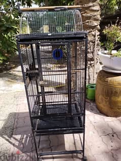 Cage for Sale For Birds and Parrots