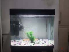 aquarium with filter and air pump and cupboard.