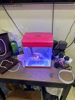 fish tank and fishes -4 nos
