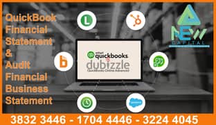 Quick-Books Statement & Business Auditor 0