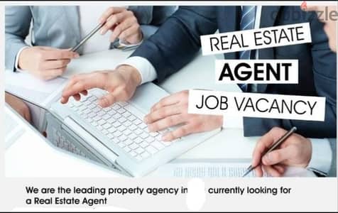 real estate agent vacancy only