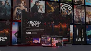 1 Year Netlfix only 6 Bd - 4k Private profile