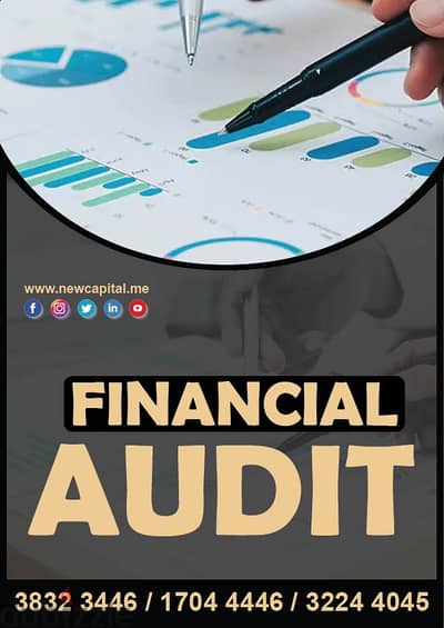 Financial Audit Consultant