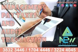 Management Pay Taxes And Audit Transaction. . . .