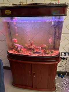Aquarium 150 lt water full set with fish