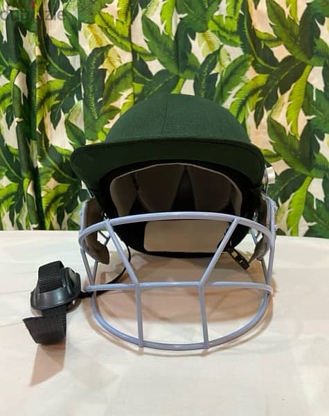 Cricket Helmet 0