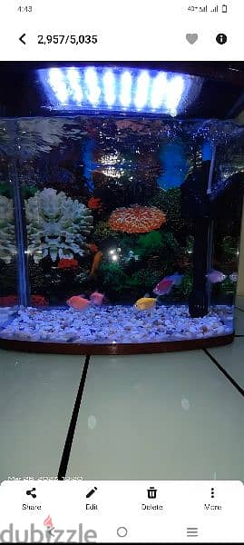 fish tank and fish 2