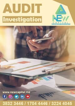 Investigation Audit Consultant Data Advisory