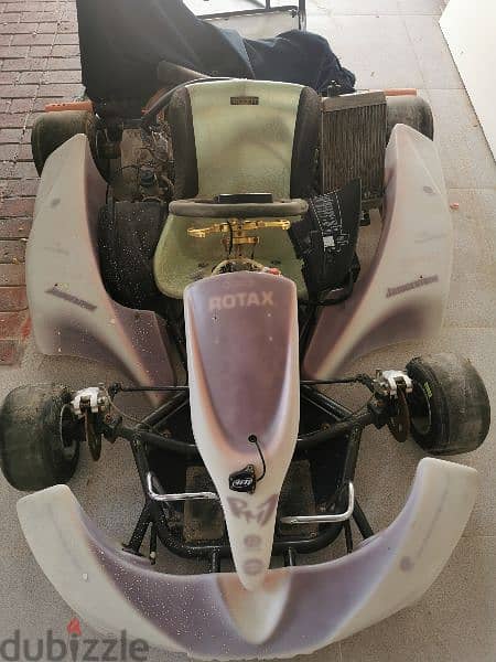 Rotex Kart DD2 0