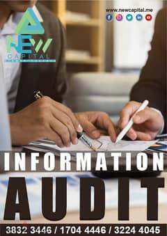 Audit Information Finance