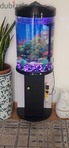 fish tank 1