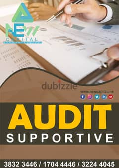Audit Supportive Service