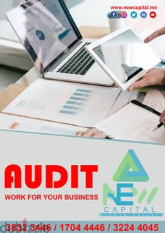 Audit Work For Your Business 0