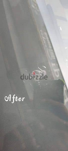 windshield crack and chips repairing 6