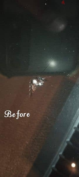 windshield crack and chips repairing 9