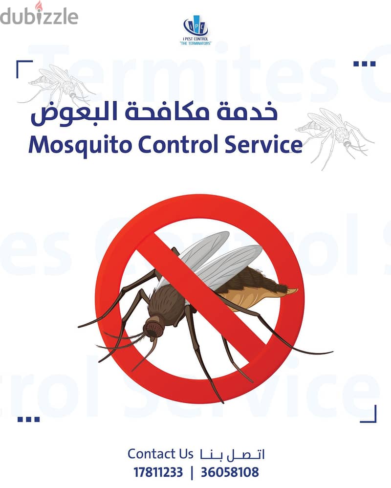 Bahrain Pest Control Service - Best Offer - Call Now 9