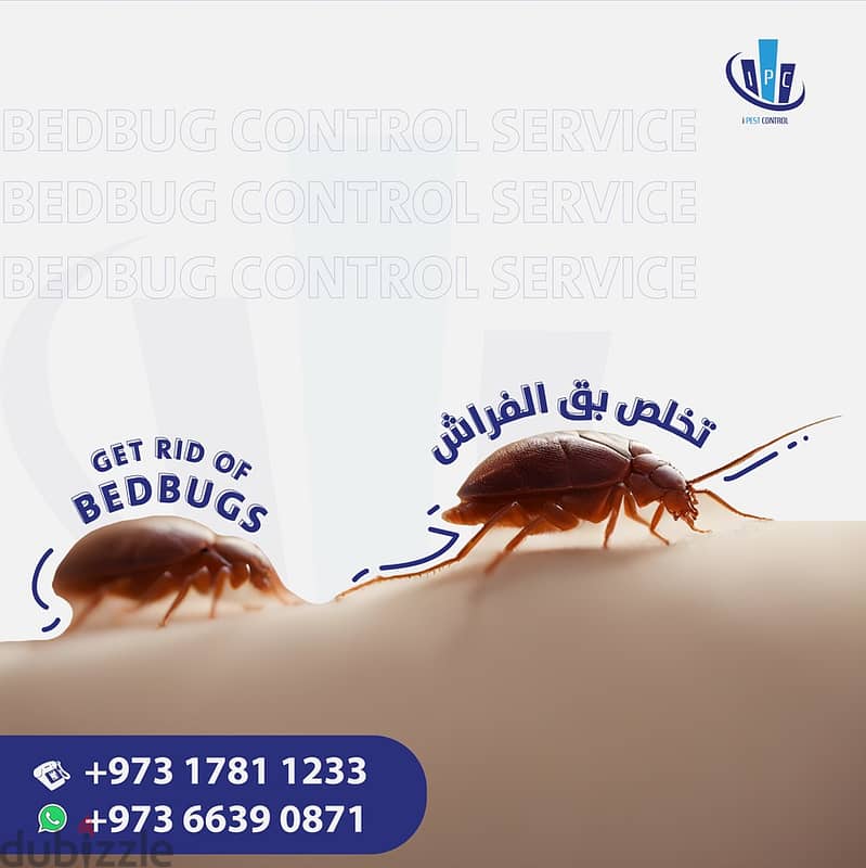 Bahrain Pest Control Service - Best Offer - Call Now 11