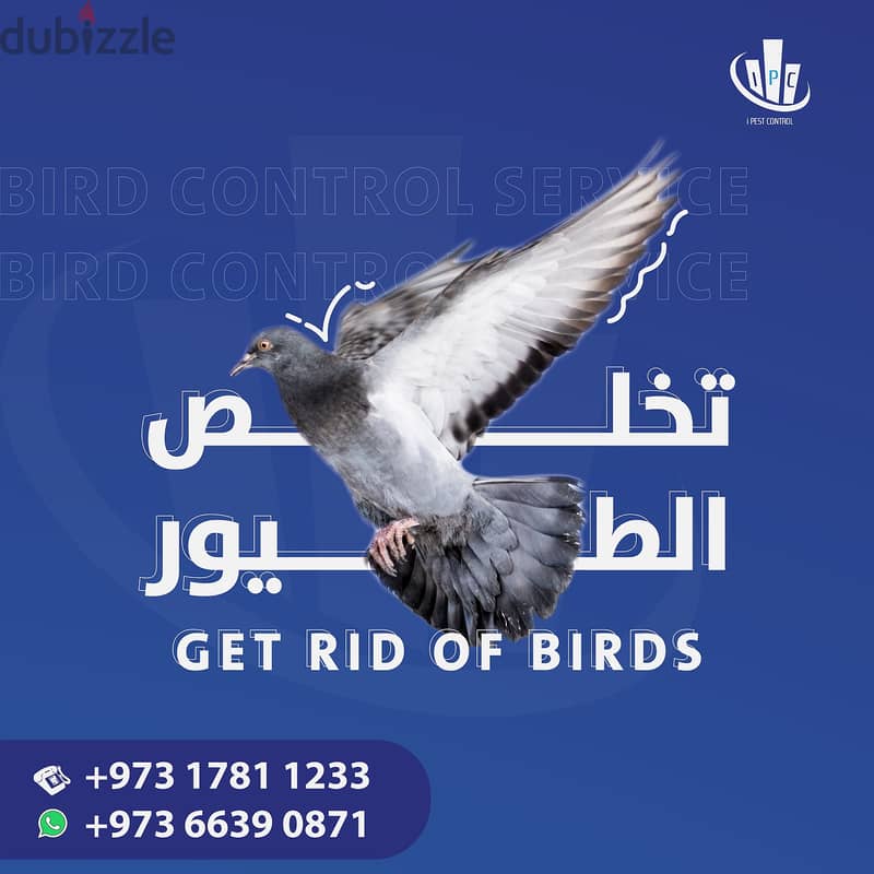 Bahrain Pest Control Service - Best Offer - Call Now 5