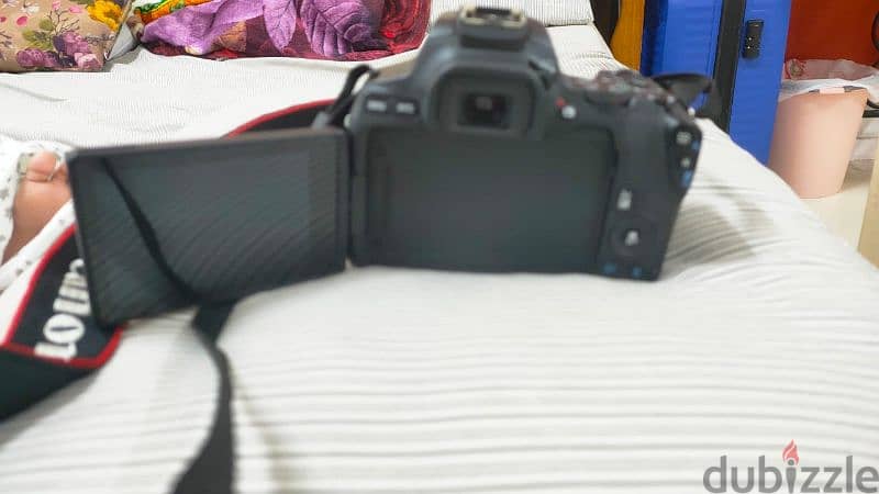 EOS 250D completely new with Lens Bag and Memory card 2