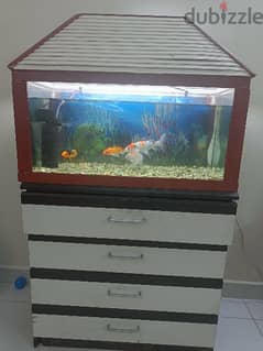 aquarium with accessories fish and food. 0