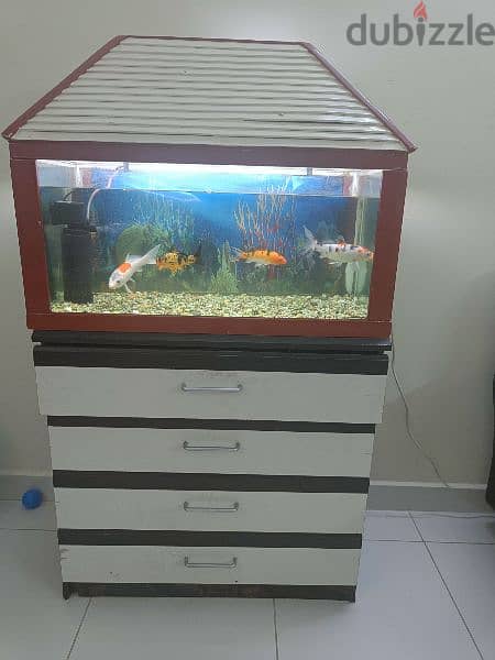 aquarium with accessories fish and food. 1