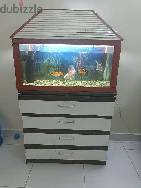 aquarium with accessories fish and food. 2