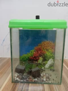 Want to sell Fish Tank and stoen