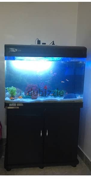 fish aquarium for sale 0