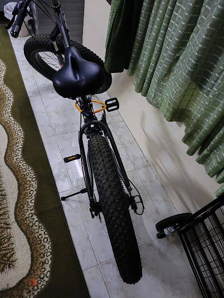 For sale a foldable bicycle 2