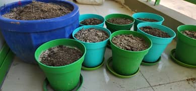 8 medium size pots with soil