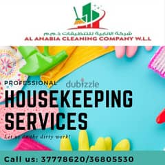 Cleaning/Housekeeping