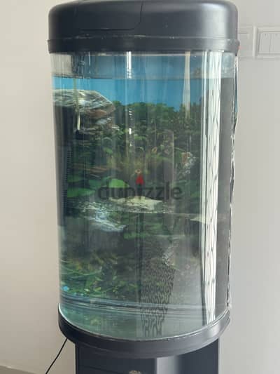 Fish tank for sale