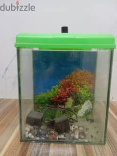 Want to sale fish tank with stone in tank