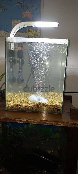 Aquarium 20 Litre 0