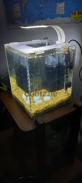 Aquarium 20 Litre 1